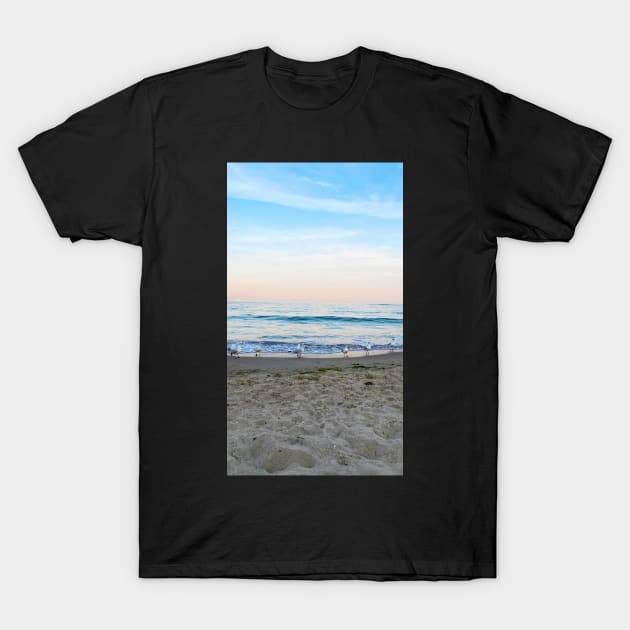 Seagulls sit on the beach T-Shirt by taya-stdnk